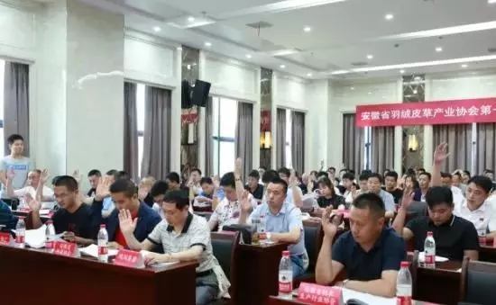 安徽省羽絨皮草產(chǎn)業(yè)協(xié)會(huì)成立，夏吉國(guó)總裁任第一屆理事會(huì)顧問(wèn)